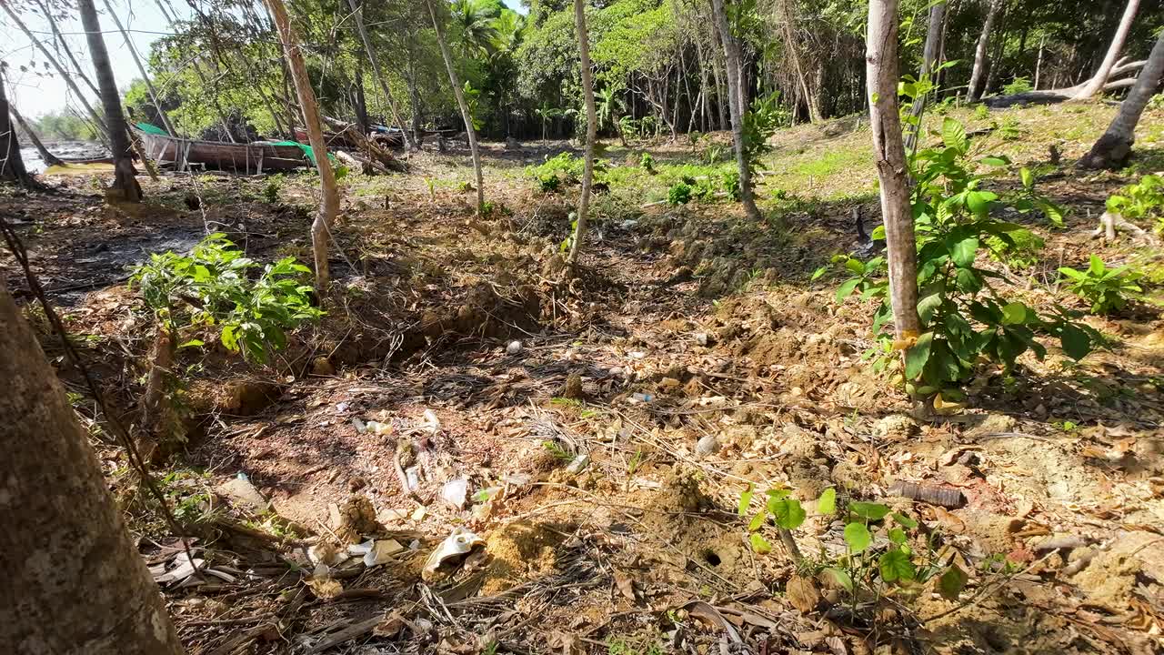 面临缺水的热带森林干溪视频素材