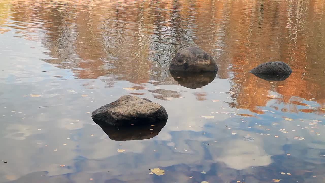 秋天的黄叶漂浮在河边视频下载