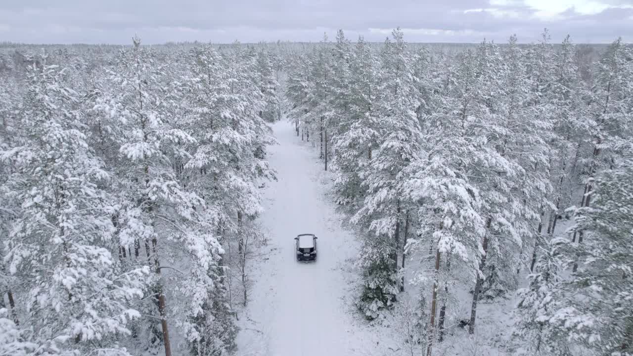 无人驾驶汽车在松林冬季道路上行驶视频下载