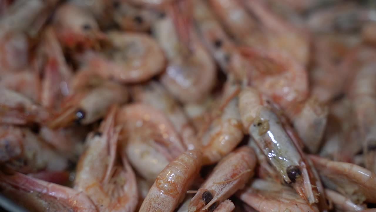 大虾。很多虾配鱼子酱特写。视频下载