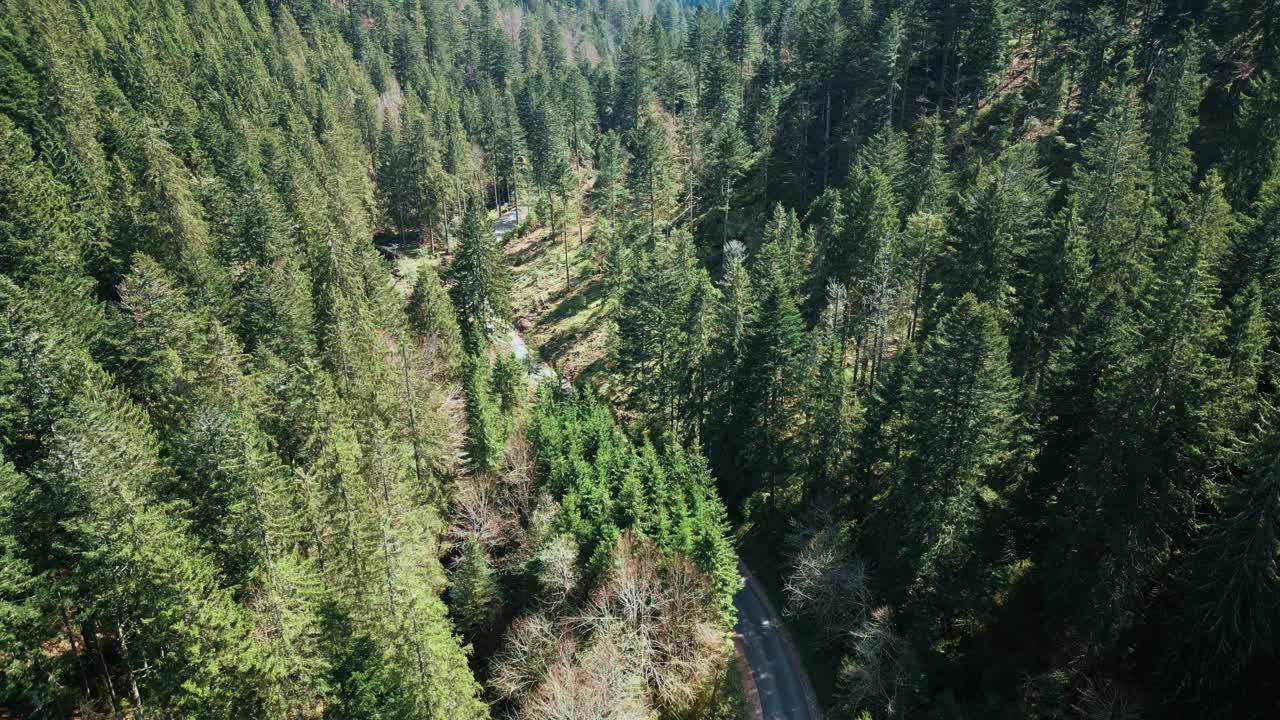 狭窄蜿蜒的汽车道路穿过德国南部的松树林，鸟瞰图视频下载