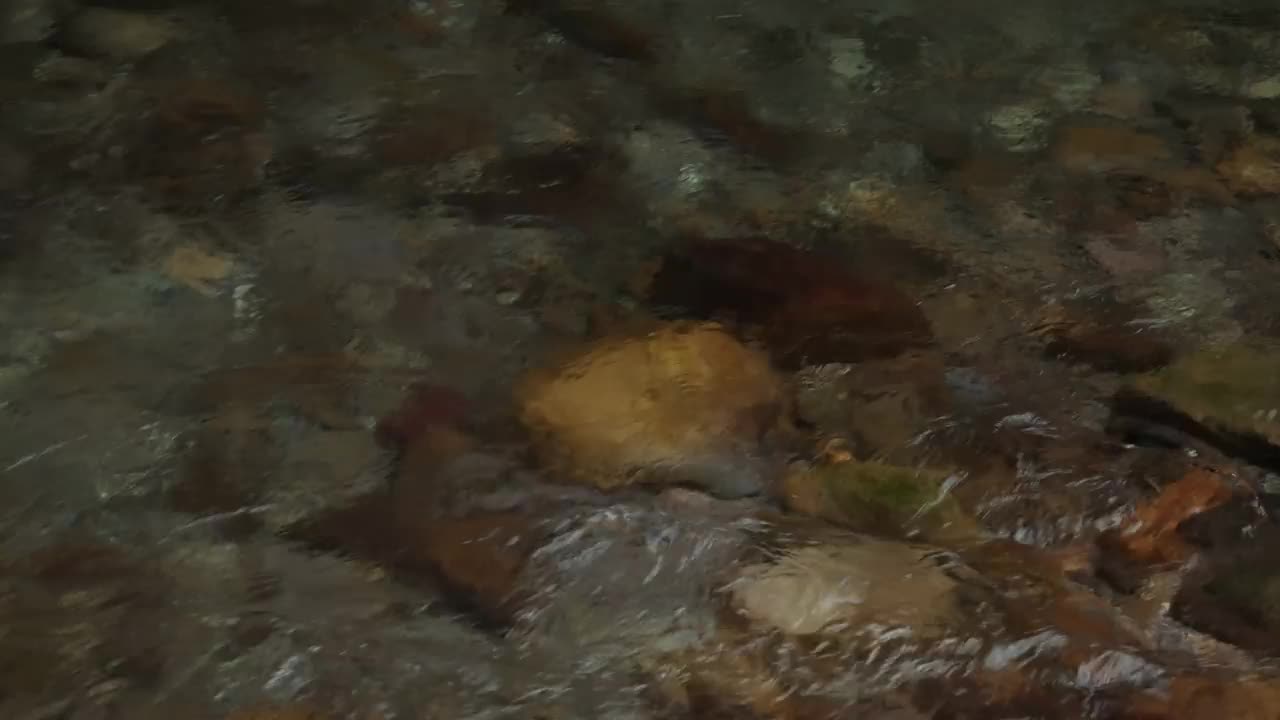 溪水从山上流下视频下载