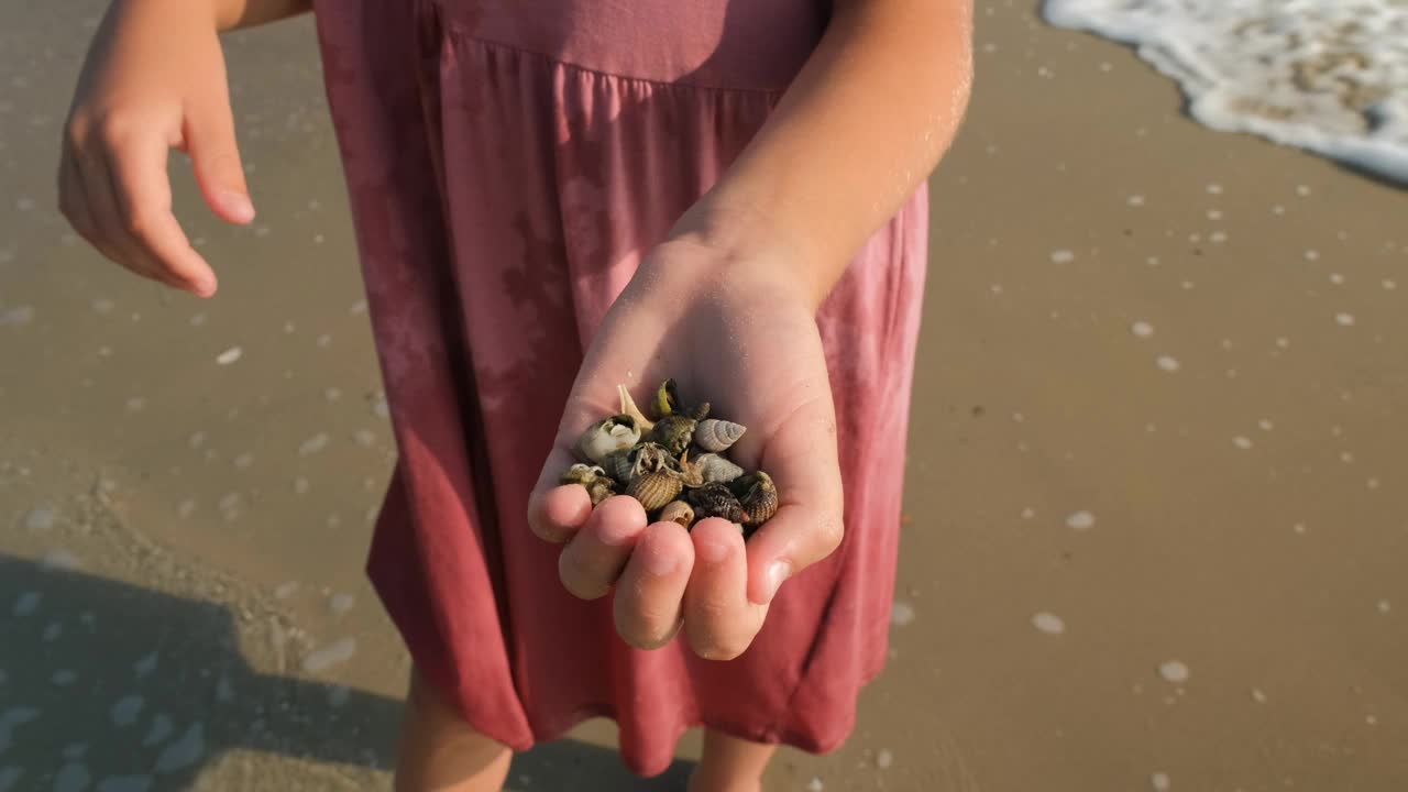 沙滩上，小女孩手里拿着寄居蟹视频下载