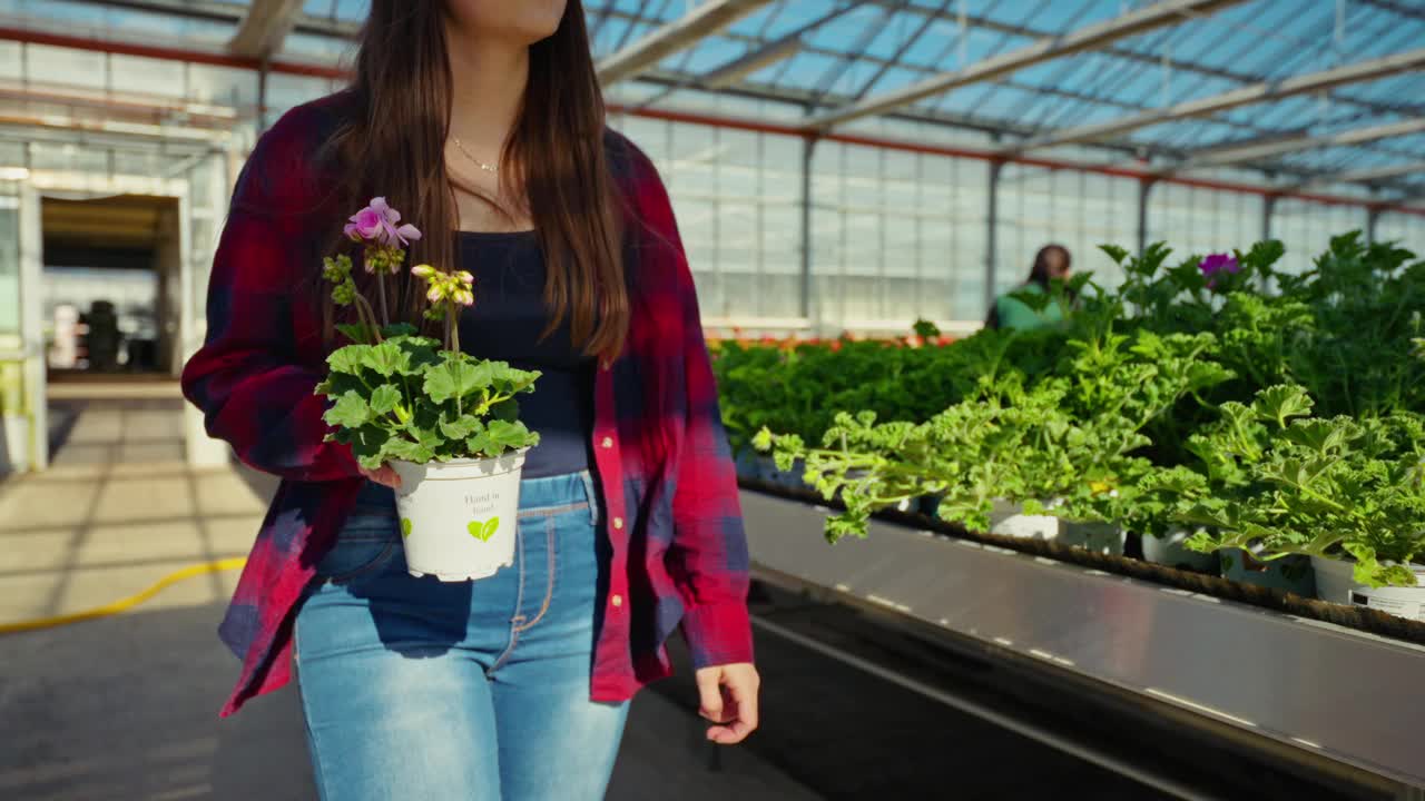穿着休闲服的年轻女子在温室里买两种不同的开花植物的慢镜头视频下载