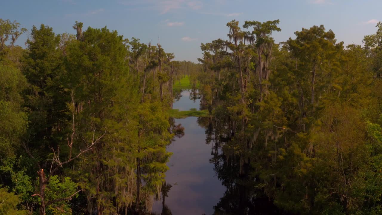 空中向上倾斜向下拍摄的河溪在森林中的树木-河景，得克萨斯州视频下载