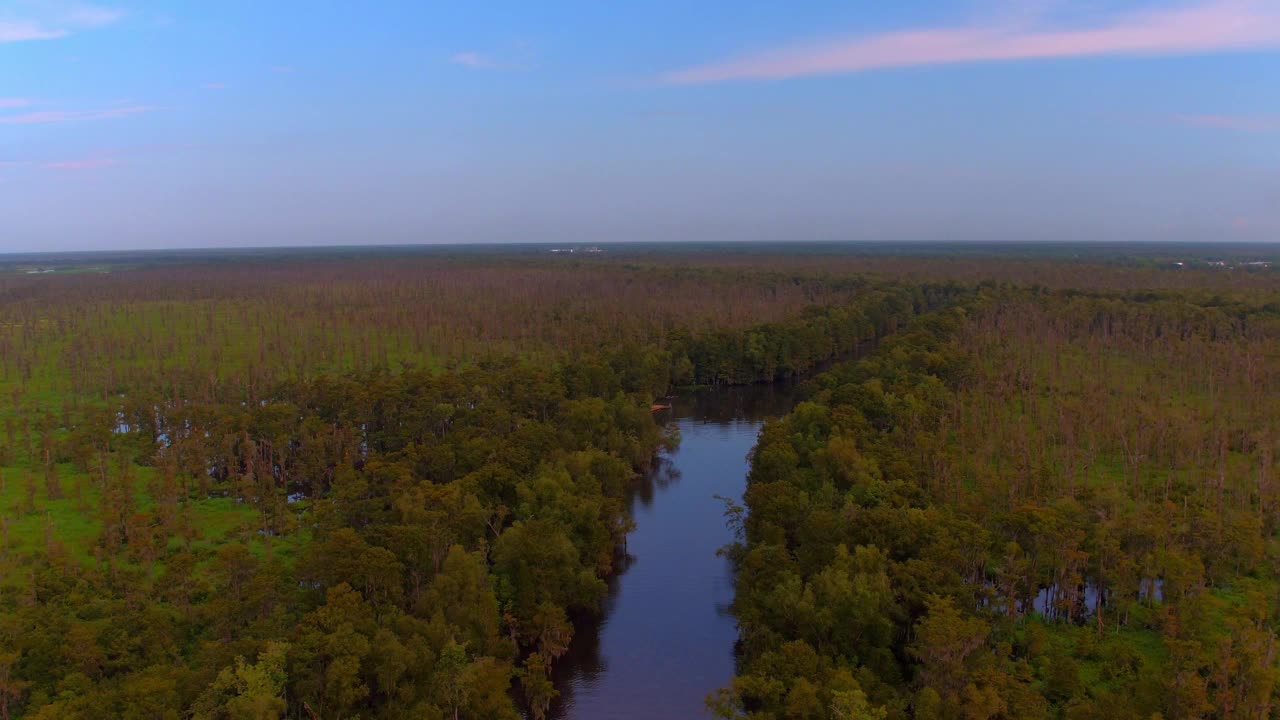 汽艇在宁静的绿色丛林中荡漾的河溪上移动的航拍镜头- Bayou Vista，德克萨斯州视频下载