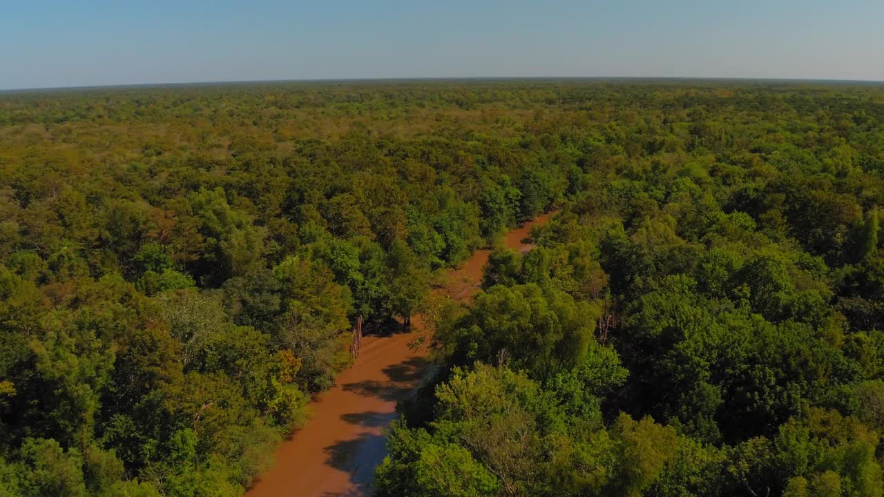 空中平移拍摄的河流在绿色的树木在森林对晴朗的天空在阳光明媚的日子- Bayou Vista，德克萨斯州视频下载