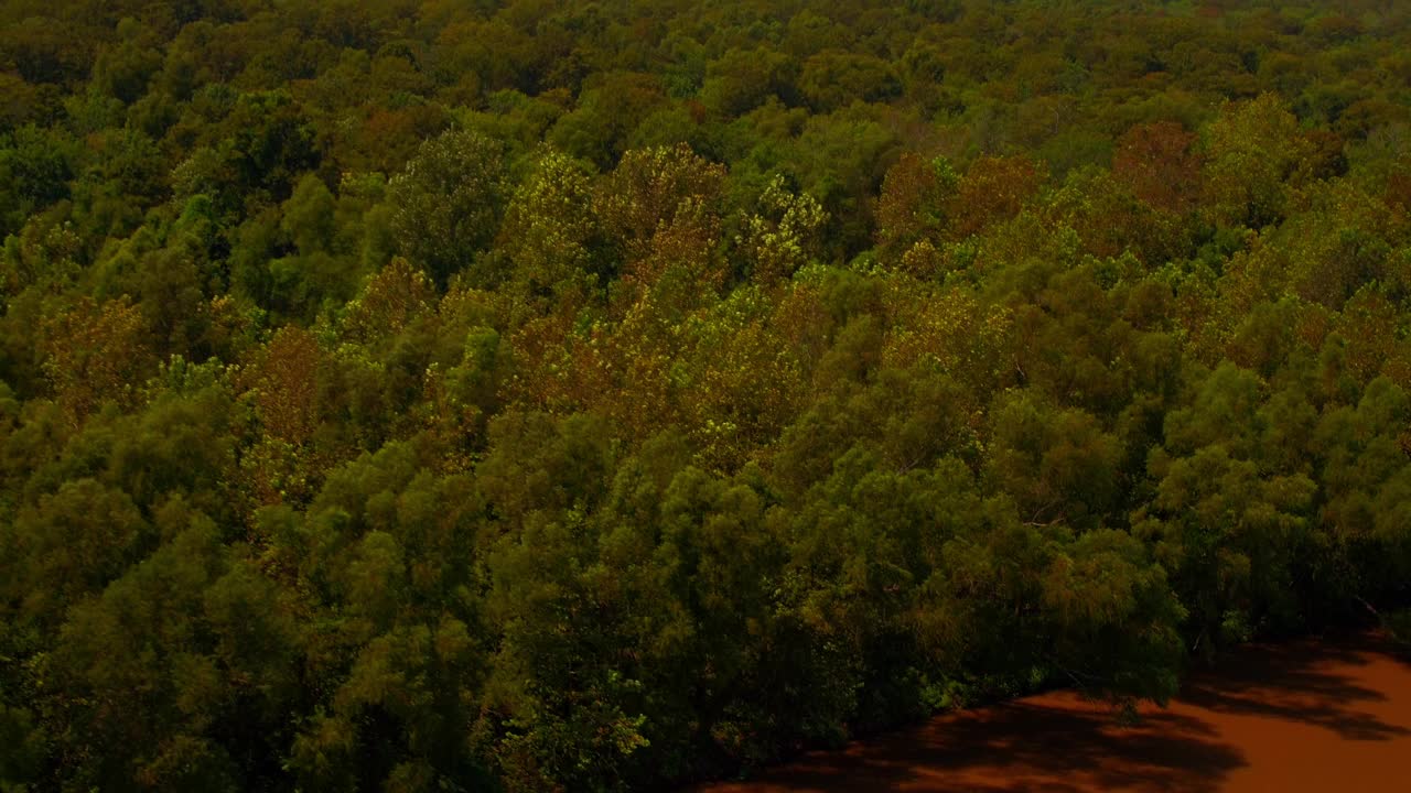 空中平移美丽的绿色森林在树木对晴朗的天空，无人机飞越河在阳光明媚的日子- Bayou Vista，德克萨斯州视频下载