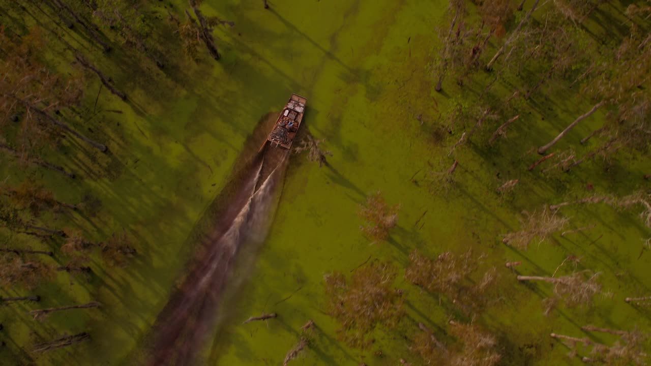 空中以色利前进党拍摄的人在汽艇移动的绿色河流在宁静的森林- Bayou Vista，德克萨斯州视频下载