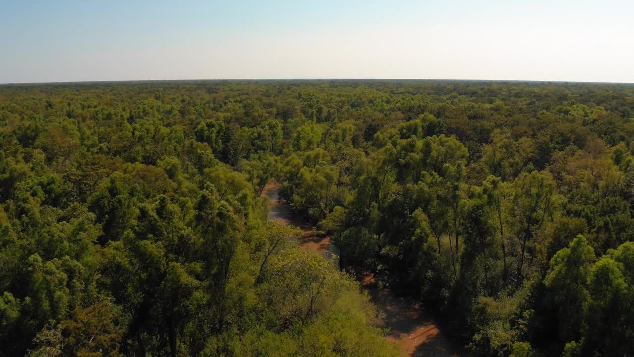 空中以色利前进党风景的河流溪流在绿色的树木在宁静的森林对晴朗的天空- Bayou Vista，德克萨斯州视频下载