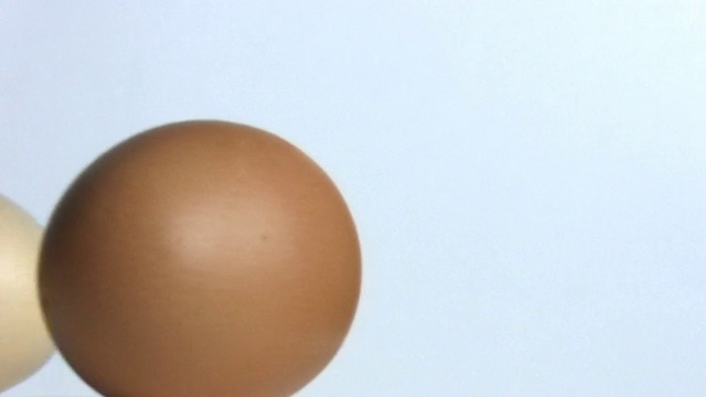 不同蛋壳颜色的鸡蛋视频下载