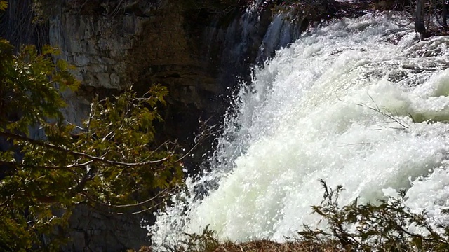 尤金妮亚瀑布在森林保护区视频素材