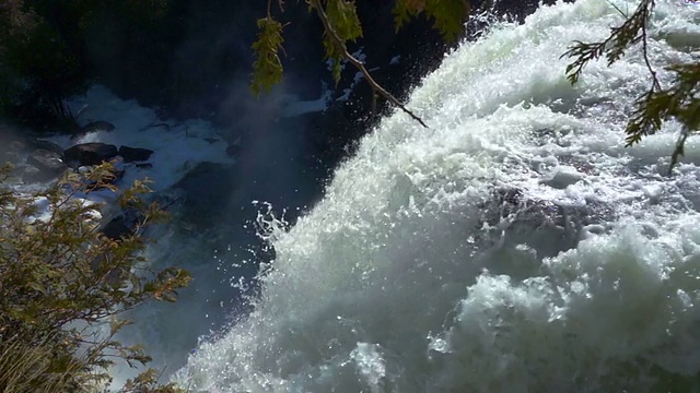 尤金妮亚瀑布在森林保护区视频素材
