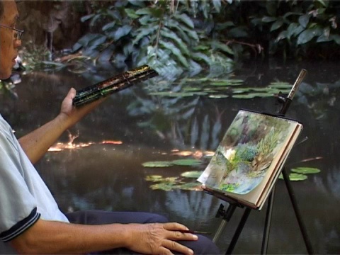 画家在池塘边作画。视频下载