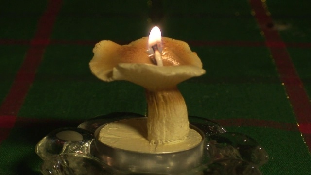 室内蘑菇烛光3视频素材