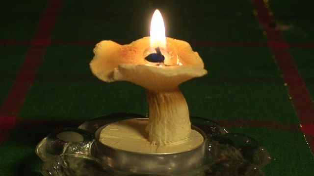 室内蘑菇烛光视频素材