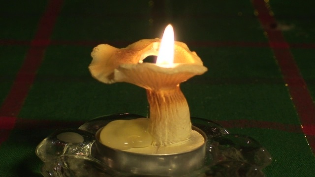 室内蘑菇烛光2视频素材