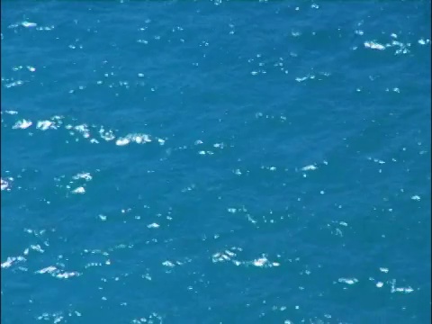 蓝色的海洋视频下载