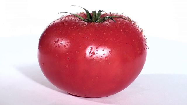 成熟的番茄对抗白色侧视图循环-高清视频下载