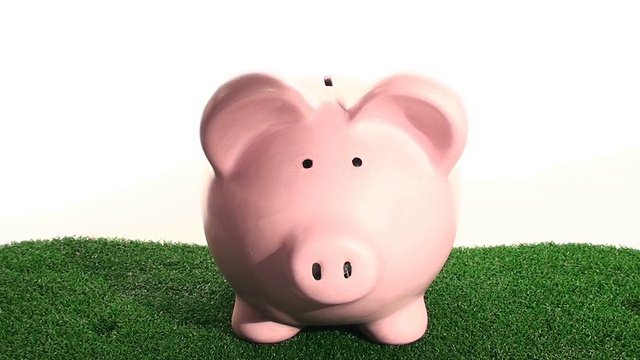 小猪银行在草地上-高清视频下载