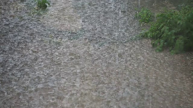 暴雨袭击地面视频素材