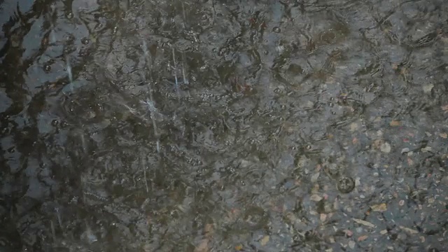 大雨:水落下视频素材