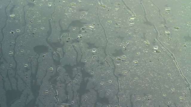 水滴从玻璃杯里滴下来视频素材