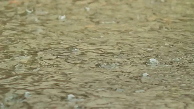 倾盆大雨打湿地面视频素材