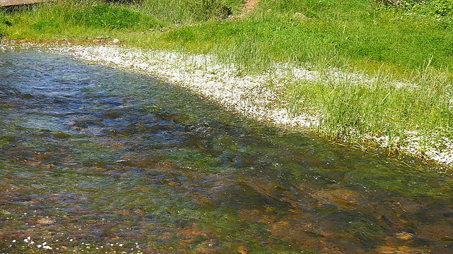 河岸，淡水溪流視頻素材