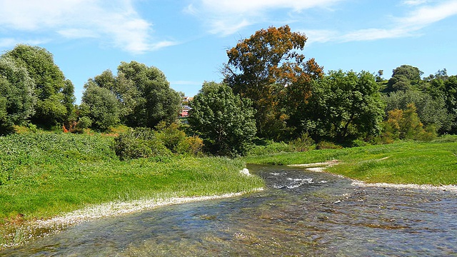 河流穿過綠色草地，背景是樹木視頻素材