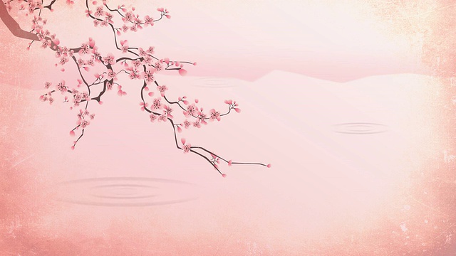 櫻花在水上盛開視頻素材