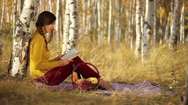 女青年野餐健康读书视频素材