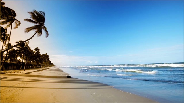 日落时加勒比海岛屿海滩上温和的海浪视频下载