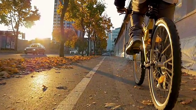 在美丽的秋日日落中骑行穿过公园视频下载