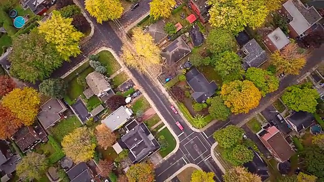 蒙特利尔顶级郊区景观和美丽的树木视频下载