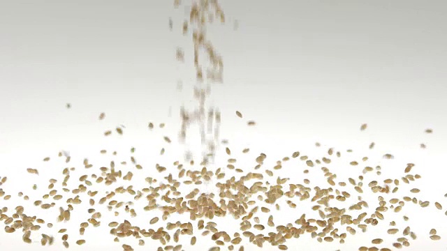 180帧/秒超慢动作糙米种子落在白色的表面视频下载