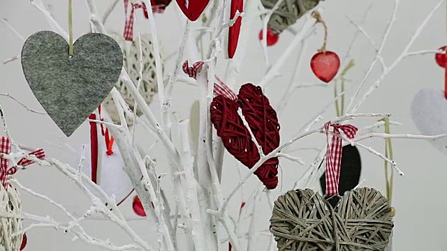 圣诞树上挂着红色的情人节卡片视频下载