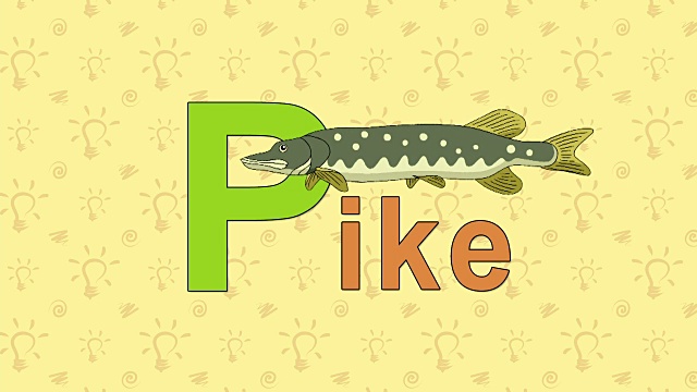 派克。英文动物园字母表-字母P视频素材
