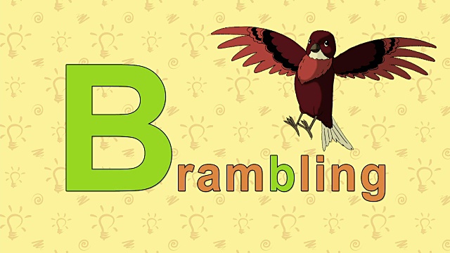 燕雀。英文动物园字母表-字母B视频素材