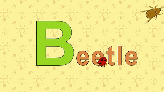 甲虫。英文动物园字母表-字母B视频素材