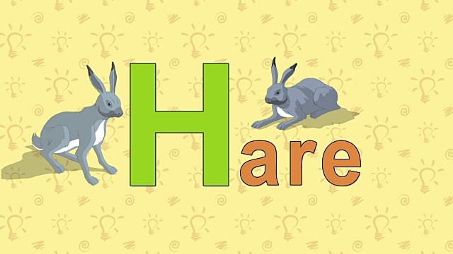 野兔。英文动物园字母表-字母H视频素材