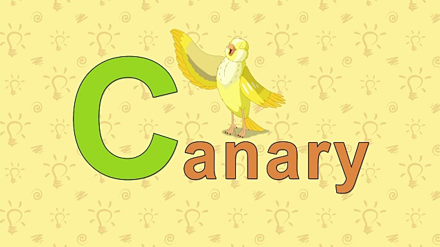 金丝雀。英语动物园字母表-字母C视频素材