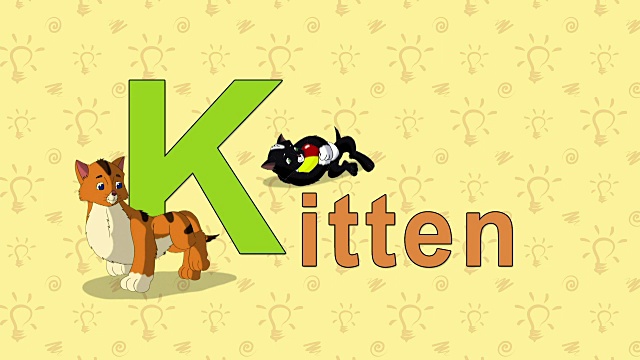 小猫。英文动物园字母表-字母K视频素材