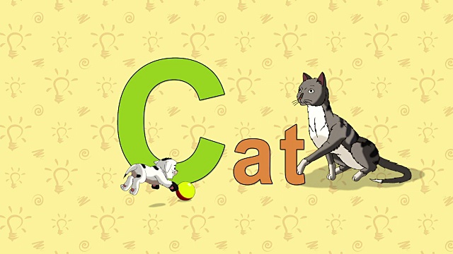 猫。英语动物园字母表-字母C视频素材