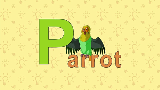 鹦鹉。英文动物园字母表-字母P视频素材