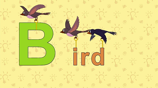 鸟。英文动物园字母表-字母B视频素材
