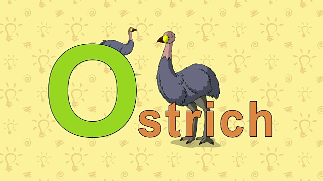 鸵鸟。英语动物园字母表-字母O视频素材