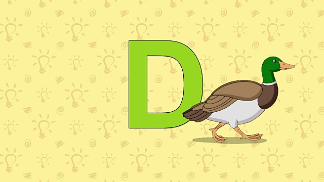 鸭子。英语动物园字母D视频素材
