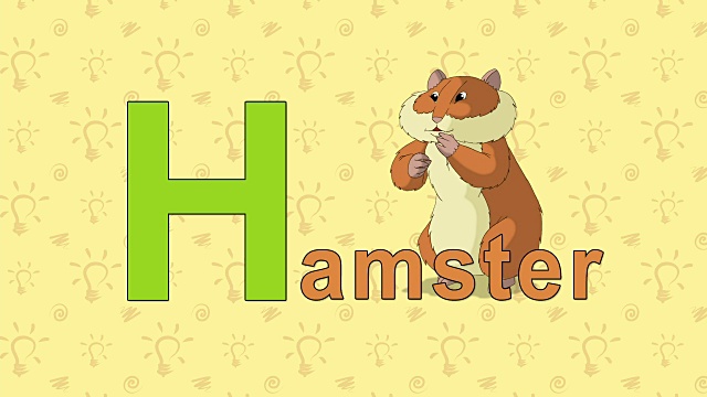 仓鼠。英文动物园字母表-字母H视频素材