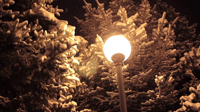 公园里的冬季小巷和闪亮的灯笼。晚上拍摄。视频下载